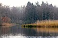 Vijver Beverbeek